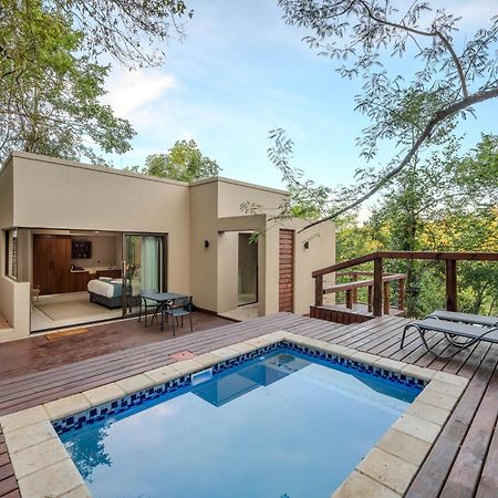 Bushbaby Valley Lodge Hazyview Luaran gambar